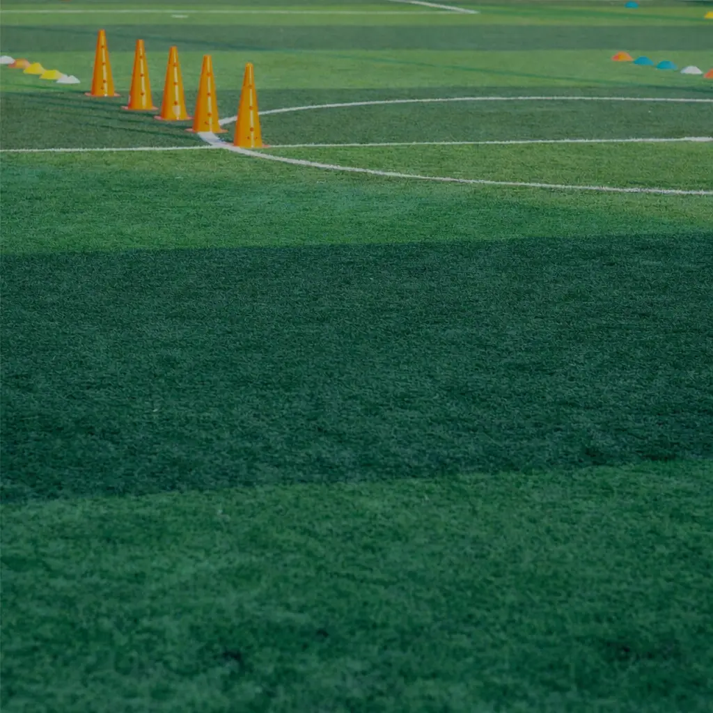Artificial Turf