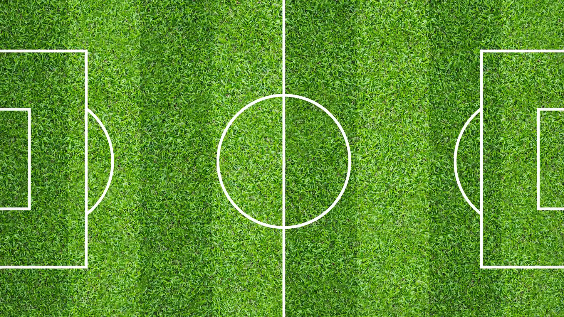 Professional Lawn Striping