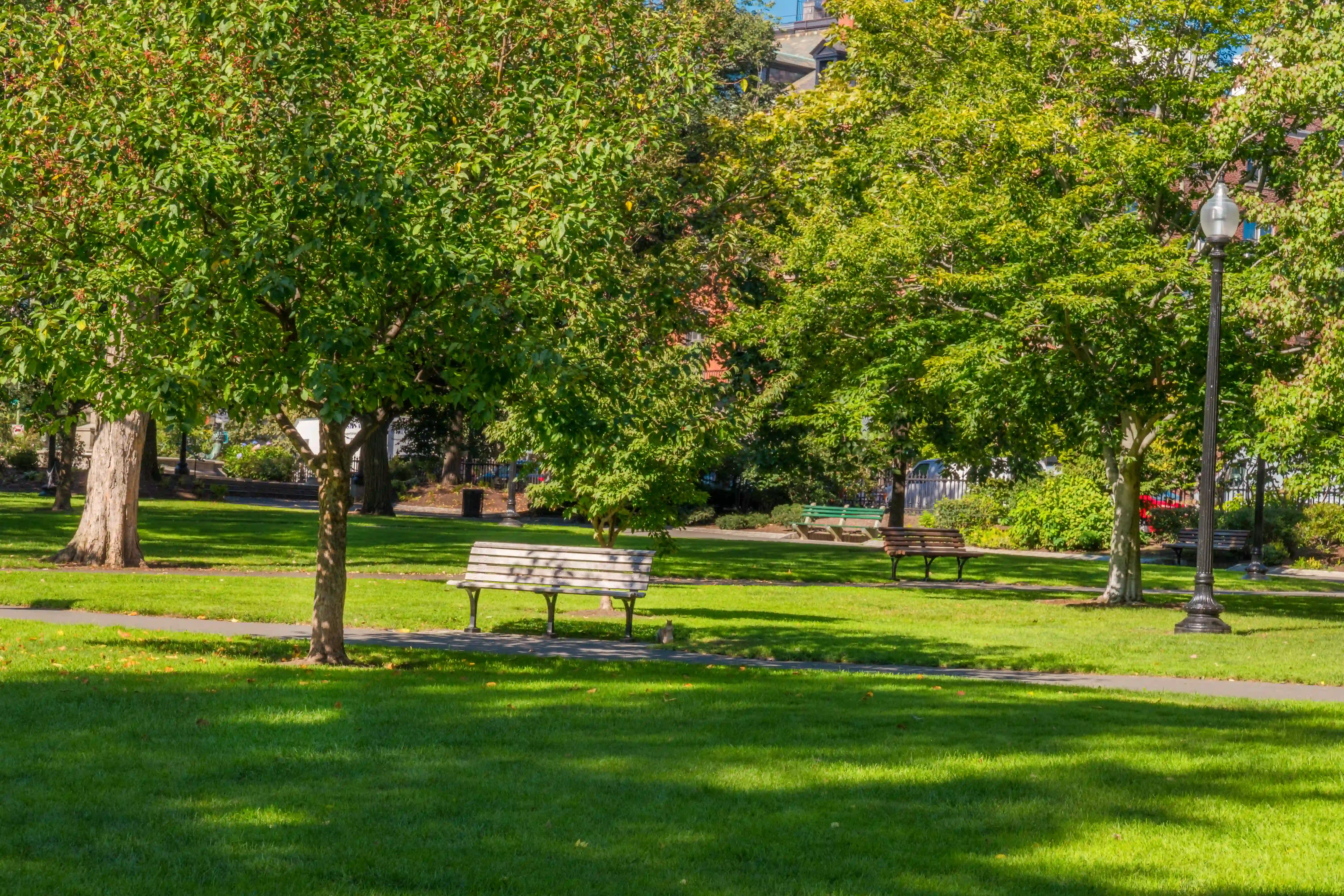 Public Garden