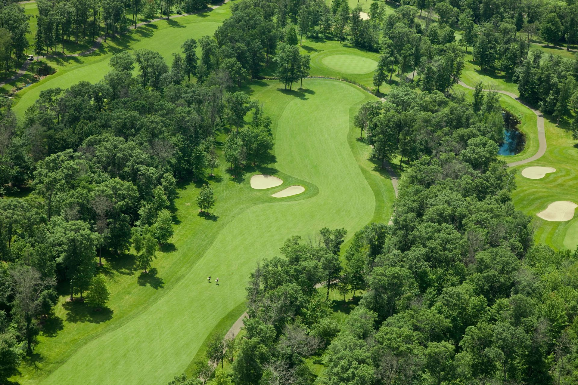 Professional Lawn Management Made Affordable.